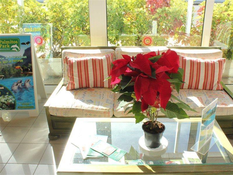 Bungalows Cordial Sandy Golf Maspalomas (Gran Canaria) Exterior foto