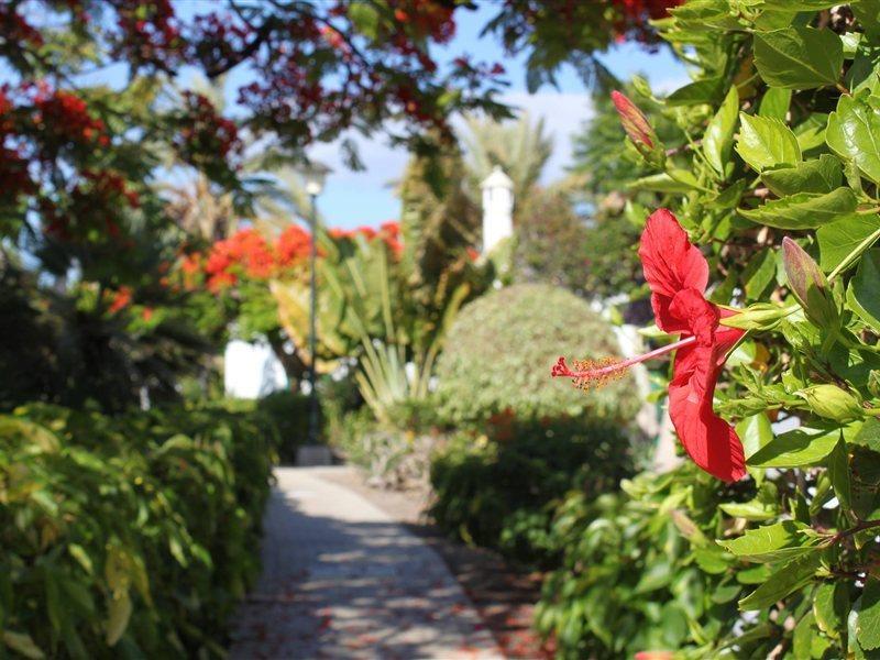 Bungalows Cordial Sandy Golf Maspalomas (Gran Canaria) Exterior foto