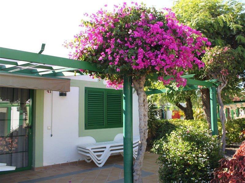 Bungalows Cordial Sandy Golf Maspalomas (Gran Canaria) Exterior foto